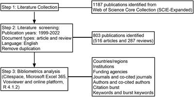 Bibliometric analysis of rheumatic immune related adverse events associated with immune checkpoint inhibitors